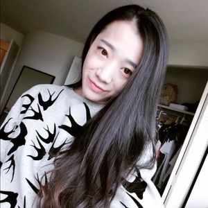 🐧Alexander Mcqueen Swallow Signature Sweatshirt🐧